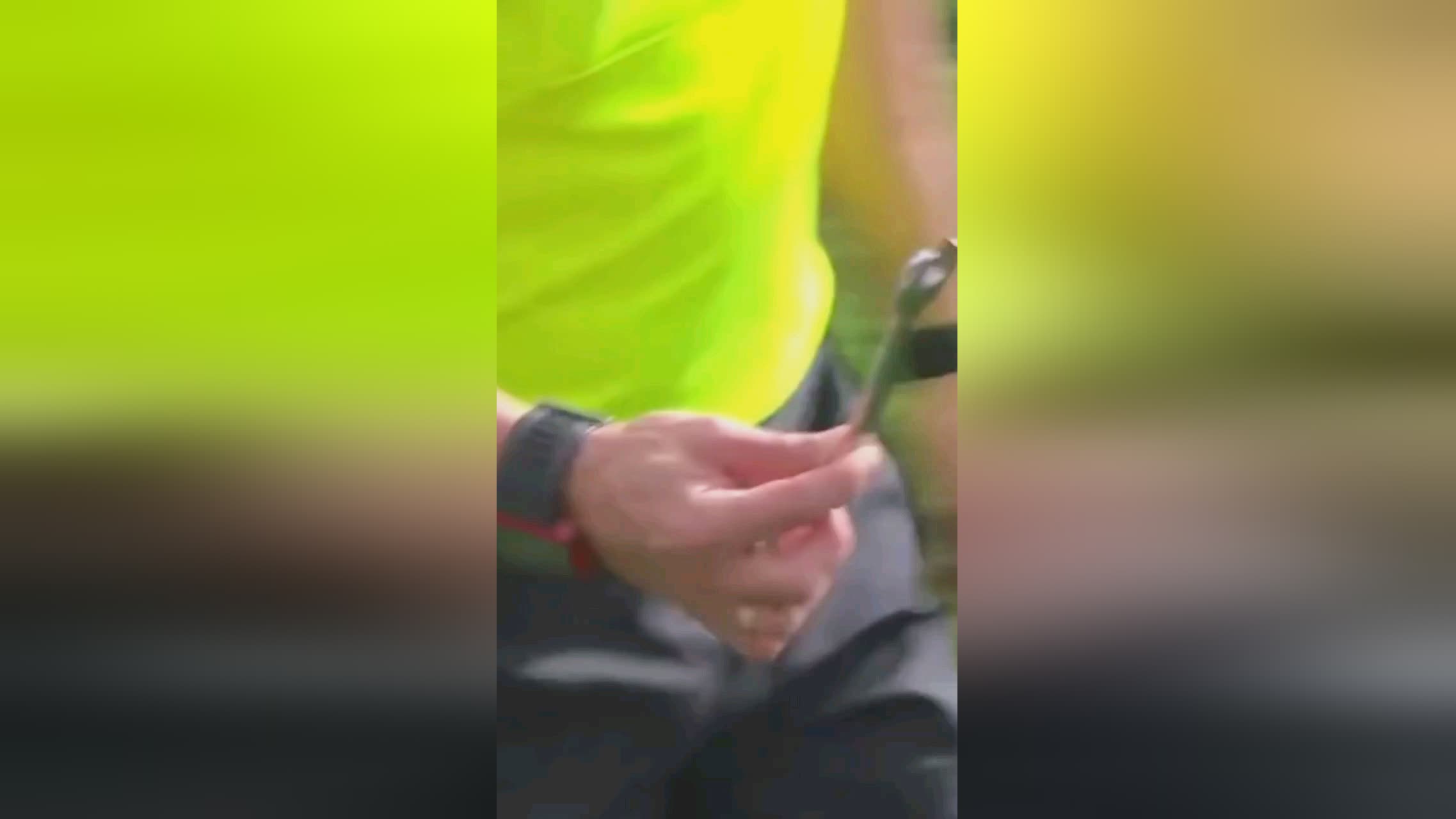 用这些信息